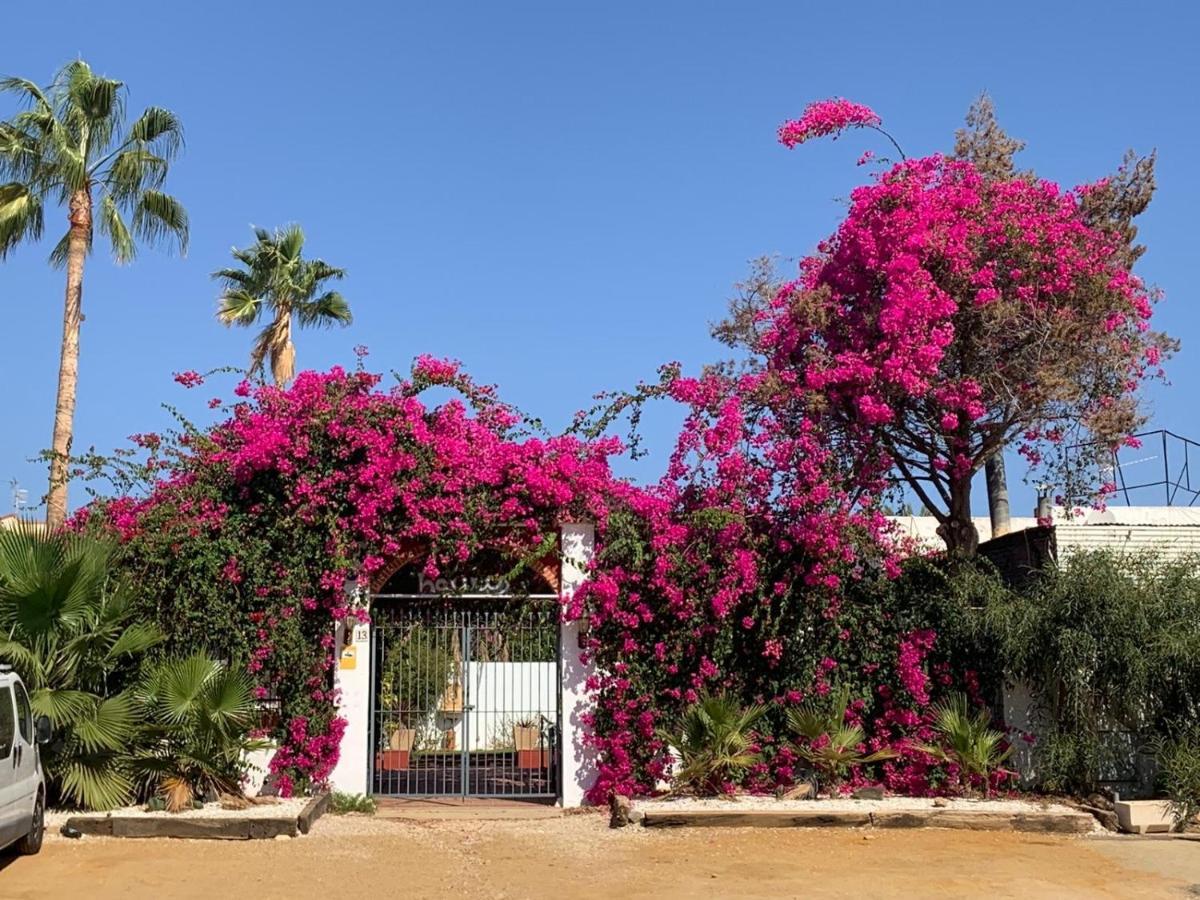 Casa Tranquila Βίλα San Juan de los Terreros Εξωτερικό φωτογραφία