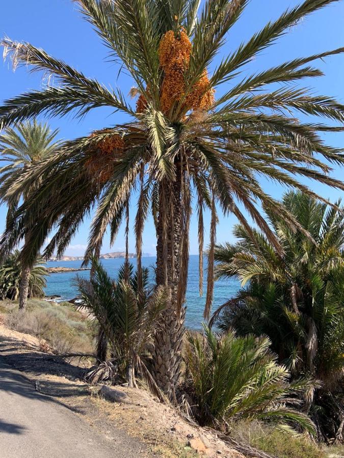 Casa Tranquila Βίλα San Juan de los Terreros Εξωτερικό φωτογραφία